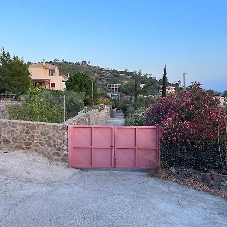Chrysiis View